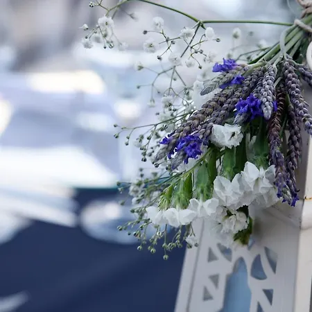 Temenos Luxury & Hotel 4*