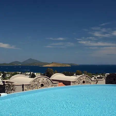 Hotel Temenos Luxury &