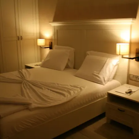 Temenos Luxury & 酒店 4*