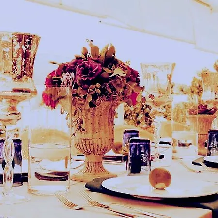 Temenos Luxury & 4* 오르타켄트