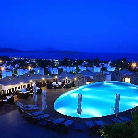 Temenos Luxury & ホテル 4*