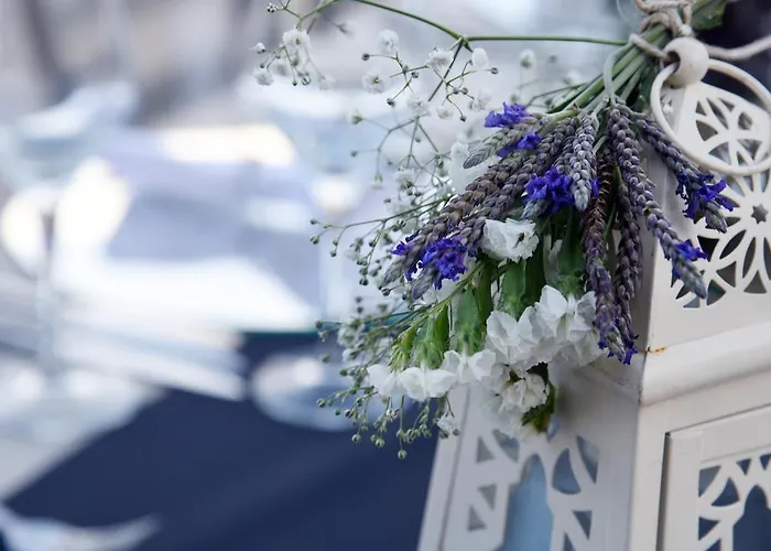 Temenos Luxury & Hotel 4*